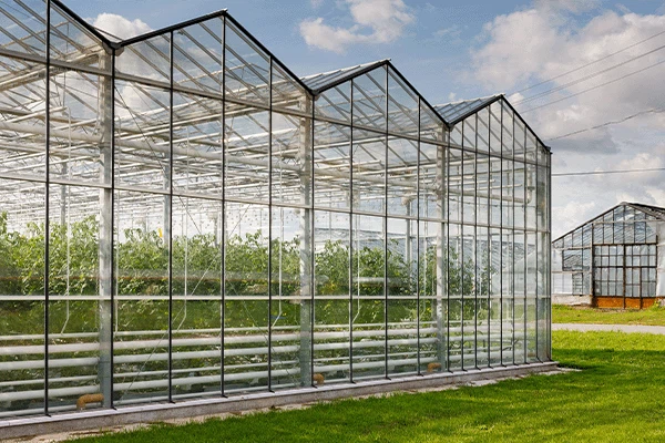 green houses glass green houses glass